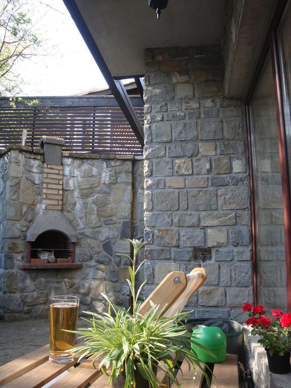 Willa Casuta De Piatra Buşteni Zewnętrze zdjęcie